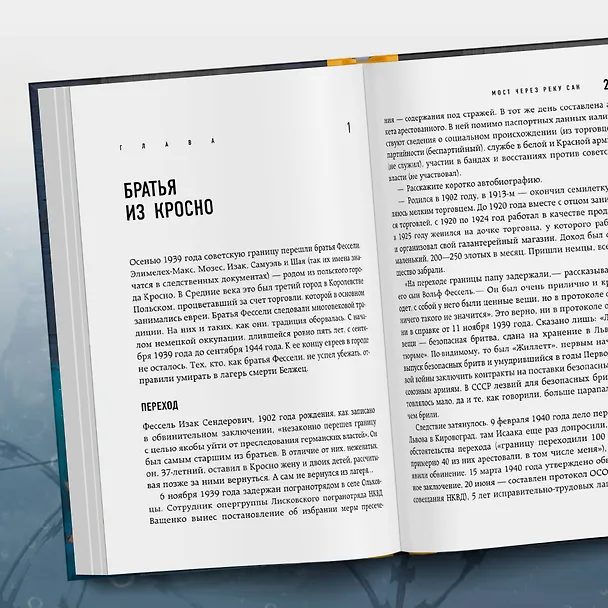 Книга Мост через реку Сан. Холокост: пропущенная страница (Лев Симкин) — 10