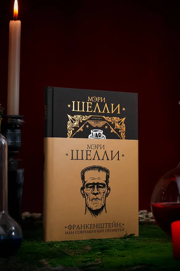 Книга Франкенштейн, или современный Прометей (Мэри Шелли) — 10