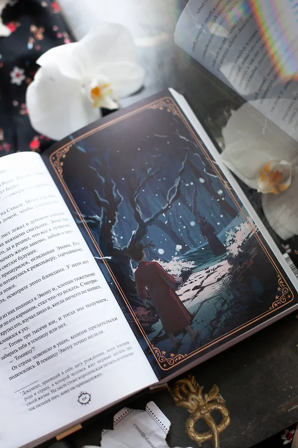 Книга Пророчество тьмы (Анви Рид) — 10