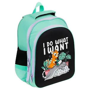 Ранец "Do what I want" 2 отделения, 39*30*18 см, 2 кармана, анатомическая спинка 3107521