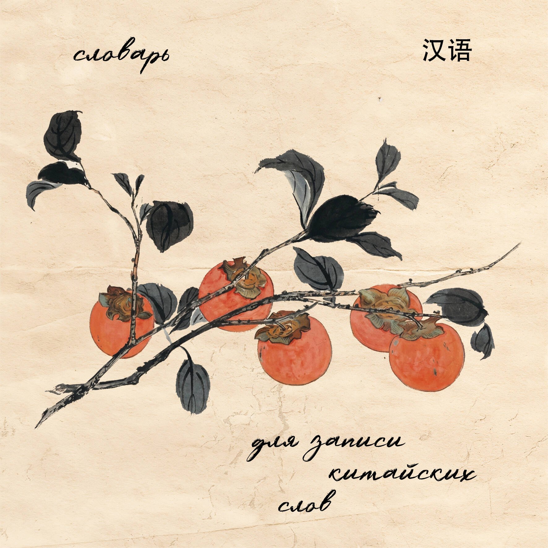 None Словарь для записи китайских слов (15х15 см) (Хурма)