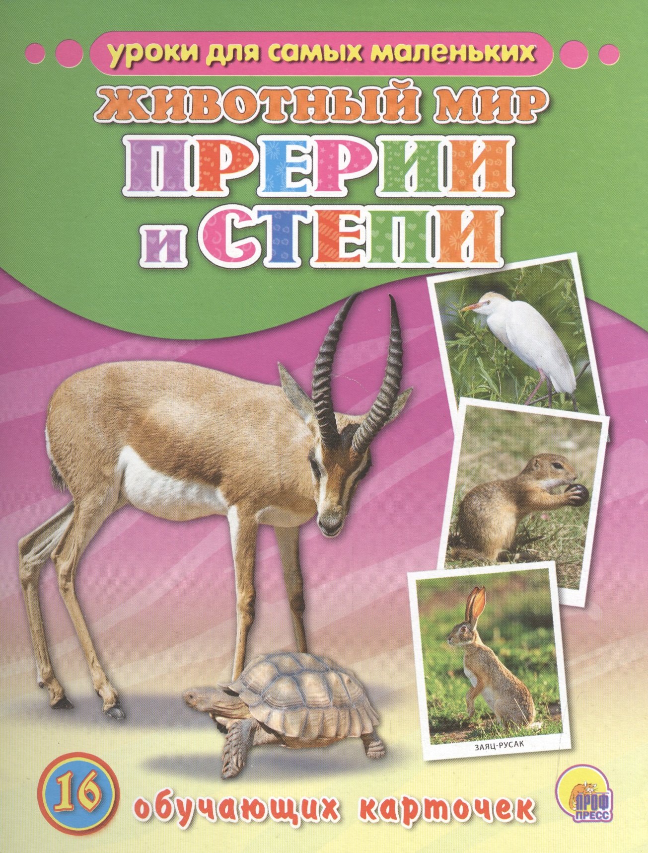 

Животный мир. Прерии и степи