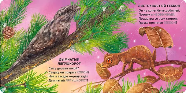 Книга Животные - невидимки. Загадки-рифмы (Евгений Сосновский) — 6