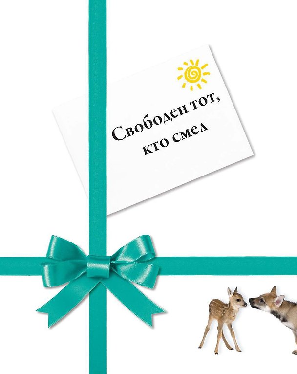 Книга Свободен тот, кто смел (Рейчел Ланичи) — 1