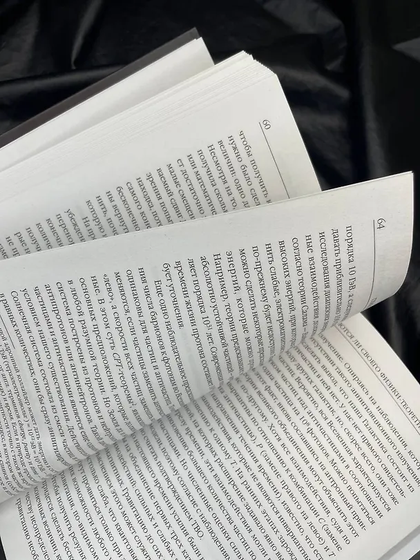 Книга Черные дыры и молодые вселенные (Стивен Хокинг) — 10