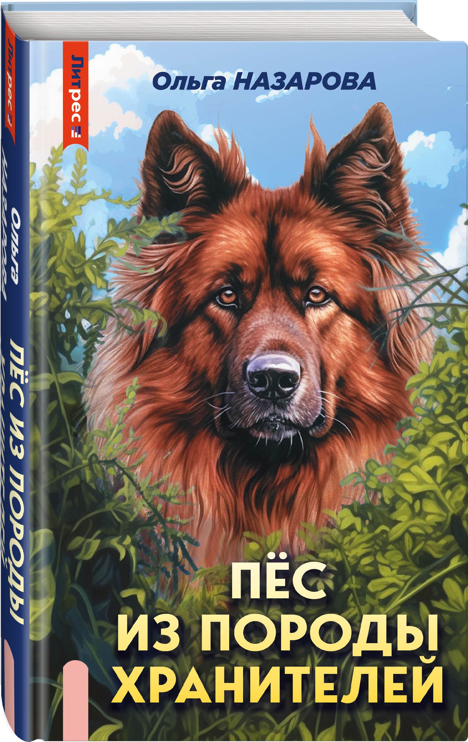 Изображение бумажной книги