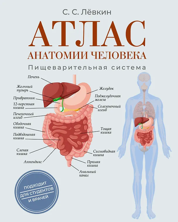 Книга Атлас анатомии человека. Пищеварительная система (Сергей Лёвкин) — 1