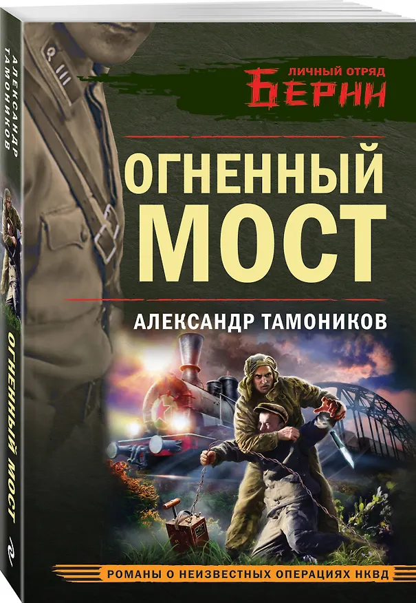 Книга Огненный мост (Александр Тамоников) — 4