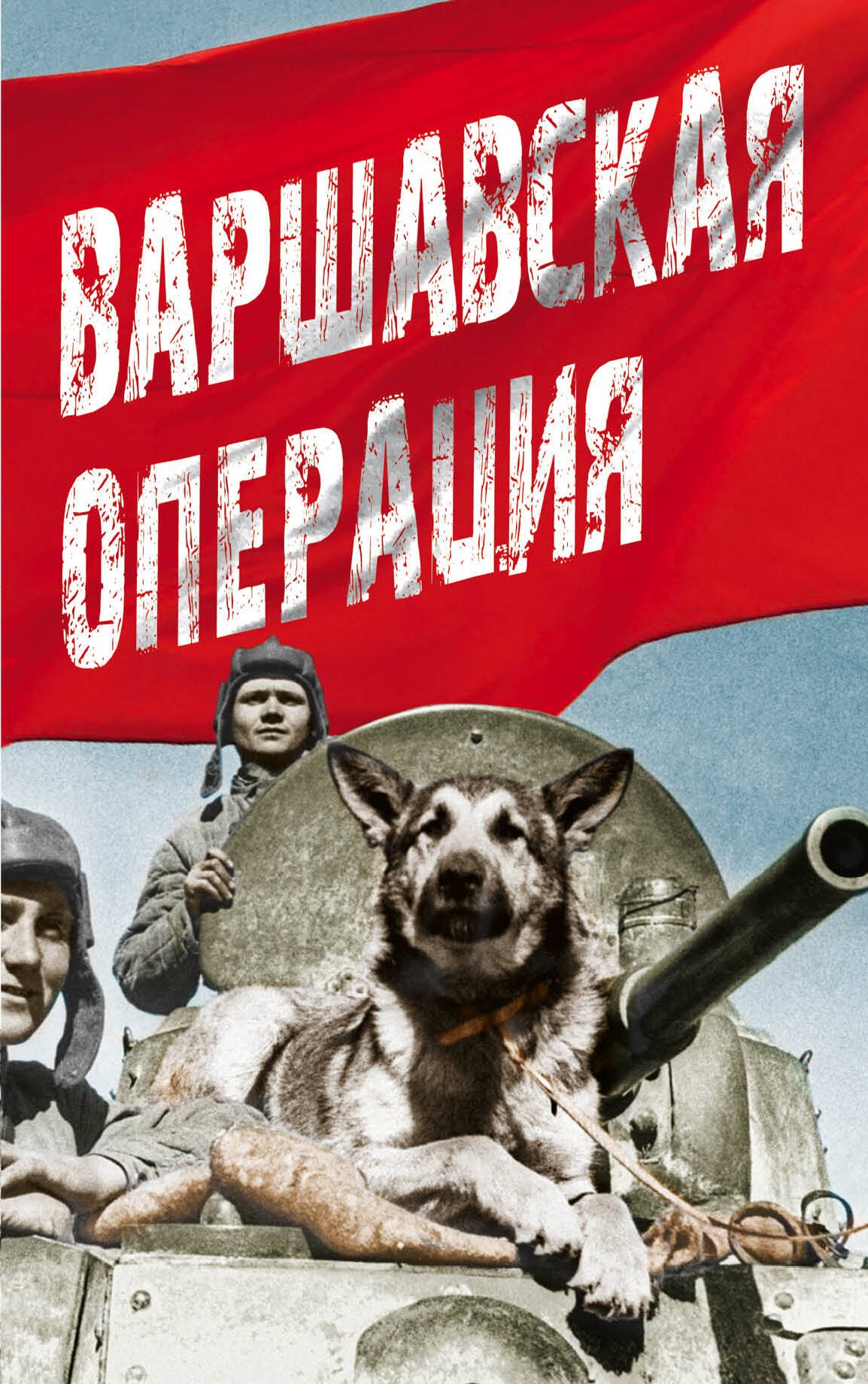 

Варшавская операция