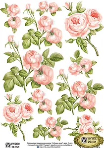 Декупажная карта переводная Садовая роза (D-025) (упаковка)