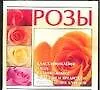 Розы