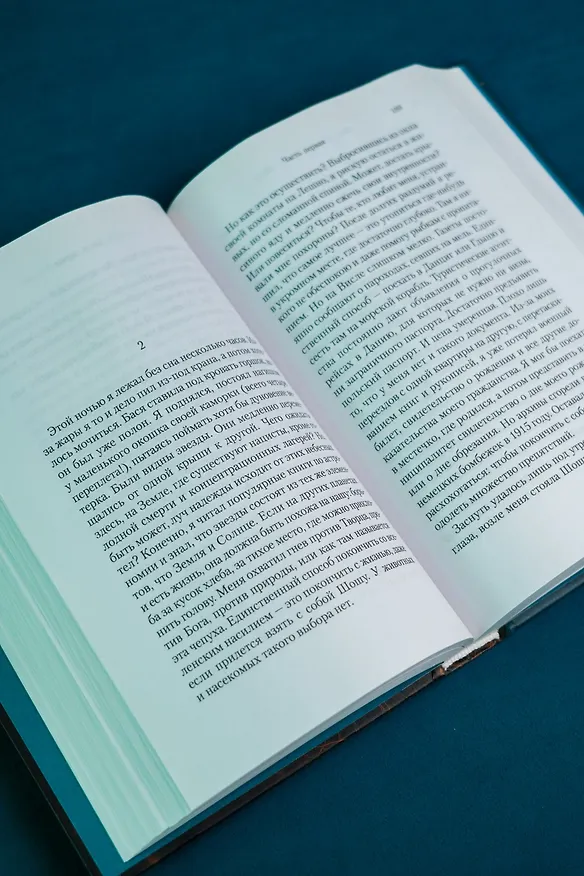 Книга Шоша (Исаак Башевис Зингер) — 13