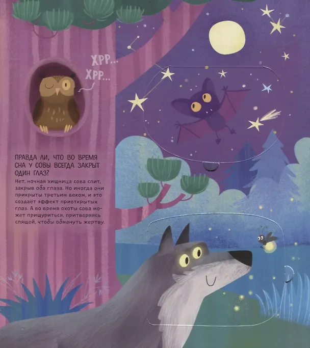 Книга Животные мира (Елена Ананьева) — 3