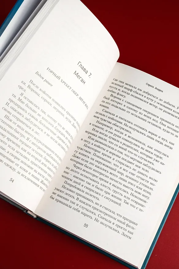 Книга Спроси Андреа (Ноэль Уэст Ихли) — 10