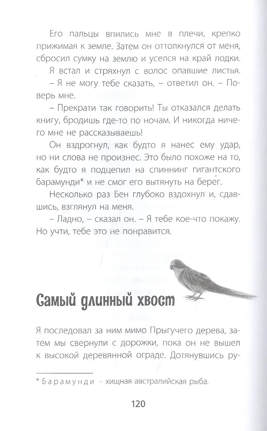 Книга Птицы поют даже в хмурые дни (Питер Карнавас) — 6