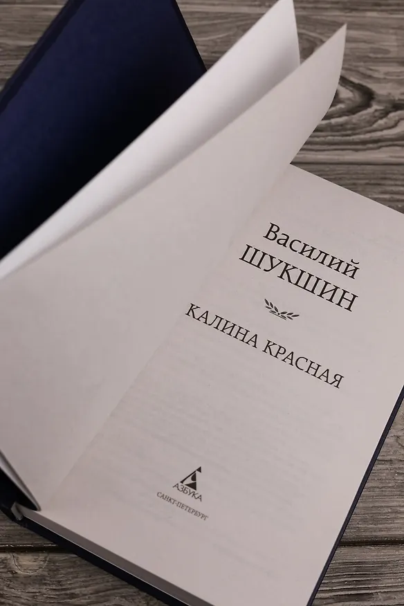 Книга Калина красная (Василий Шукшин) — 9