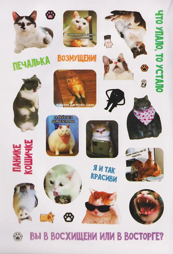 Книга Мяумемы. Котостикеры с ВАУ-эффектом! Наклейки () — 3