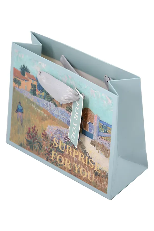 Пакет A6 11,5*14,5*6 "Surprise for you" нейтр., бум.мат.ламинат 3040656 — 3