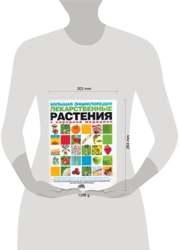 Книга Большая энциклопедия. Лекарственные растения в народной медицине (Геннадий Непокойчицкий) — 2