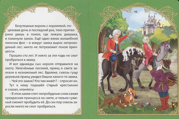 Книга Спящая красавица (Шарль Перро) — 5