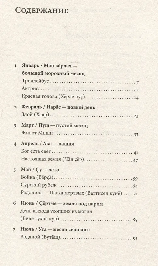 Книга Год в Чувашии (Дмитрий Лукьянов) — 3