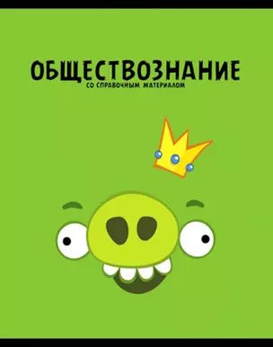 Тетрадь 48л кл. ТЕМА "ANGRY BIRDS" Обществознание выб.лак, справ.мат-лы, Hatber — 229163 — 1