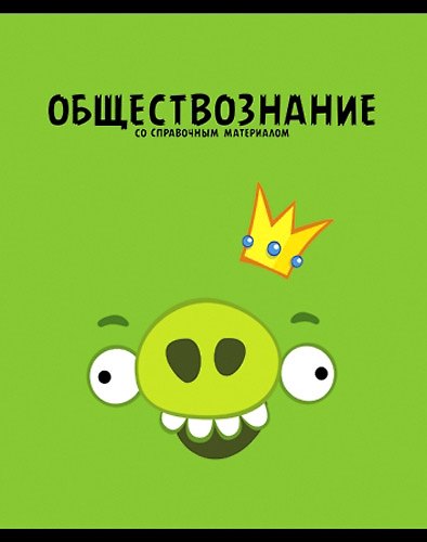 Тетрадь 48л кл. ТЕМА "ANGRY BIRDS" Обществознание выб.лак, справ.мат-лы, Hatber 229163 — 1