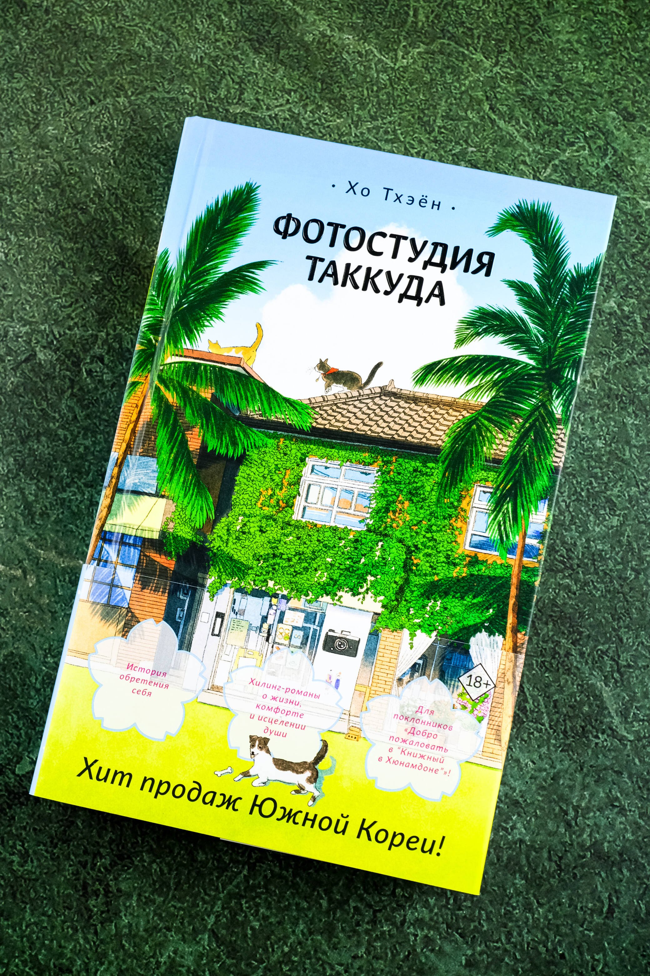 Изображение бумажной книги