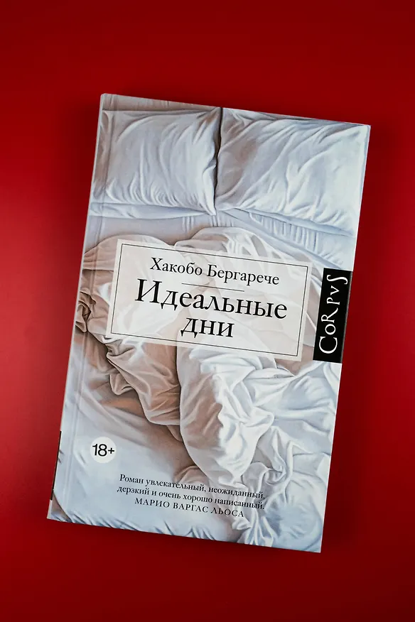 Книга Идеальные дни (Хакобо Бергарече) — 6