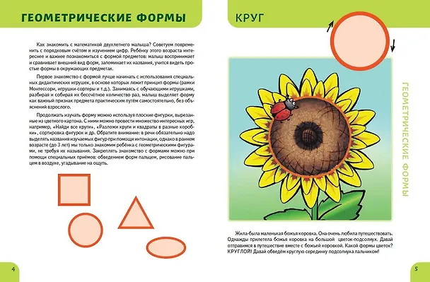 Книга Основы математики. Первые занятия для малышей (Елена Янушко) — 7