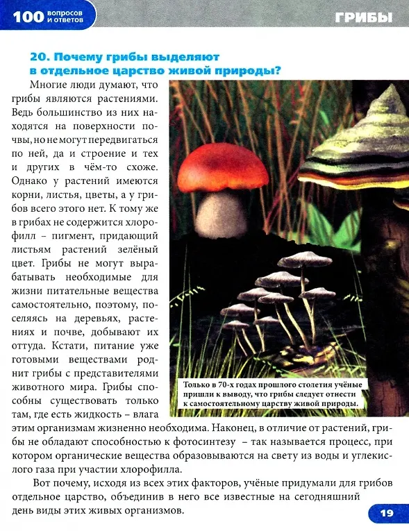 Книга Живая природа. Энциклопедия (Людмила Соколова) — 3