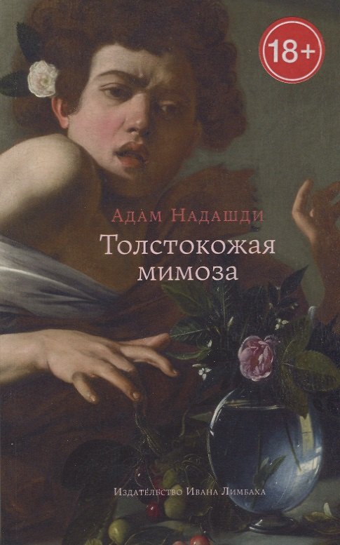 Книга Толстокожая мимоза: Быть счастливым - или нормальным? Эссе (Адам Надашди) — 1
