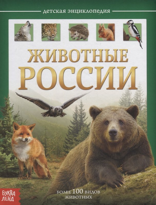 Книга Животные России. Детская энциклопедия (Юлия Соколова) — 1