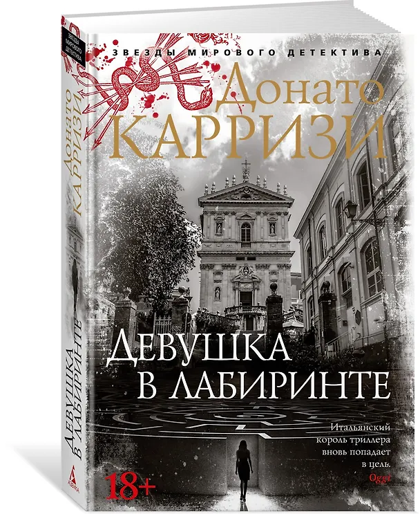 Книга Девушка в лабиринте (Донато Карризи) — 4