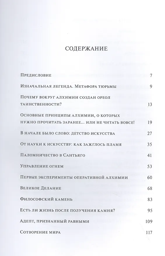 Книга Что сказал алхимик (Патрик Бюренштейнас) — 2