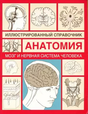 Анатомия.Мозг и нервная система человека: Иллюстрированный справочник — 2194384 — 1