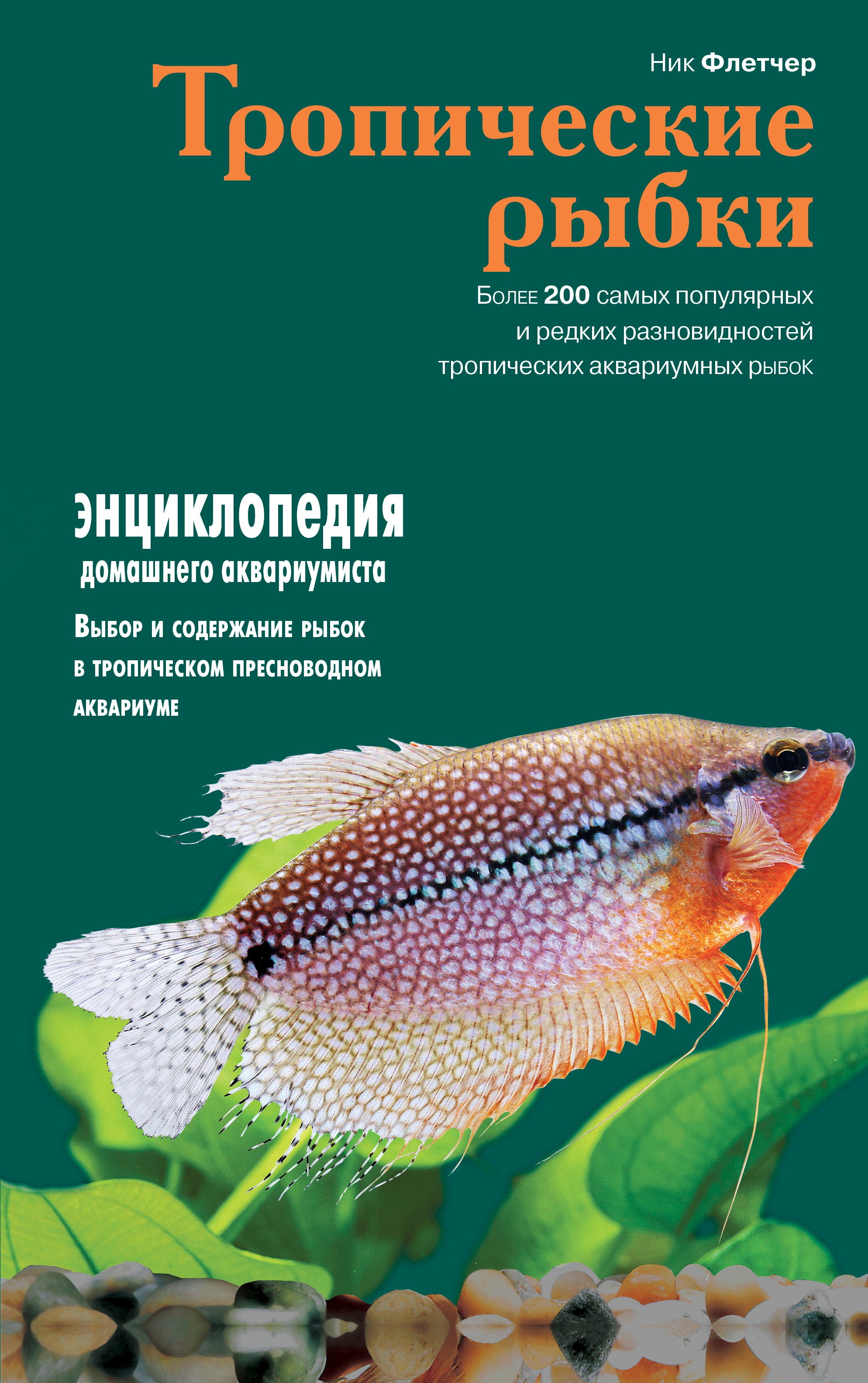 

Тропические рыбки