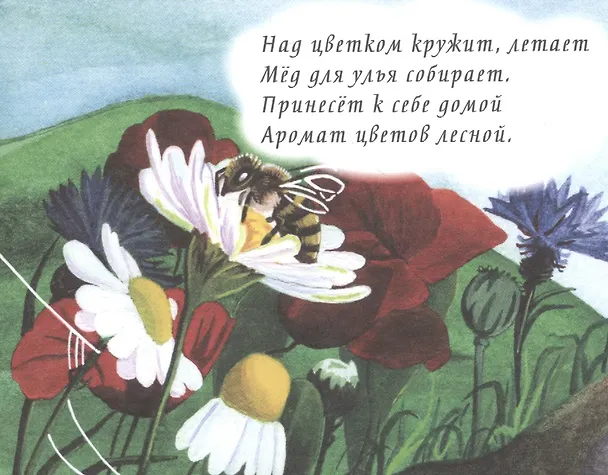 Книга Загадки в картинках () — 5
