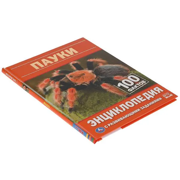 Книга Пауки. 100 фактов (Игорь Павлинов) — 5