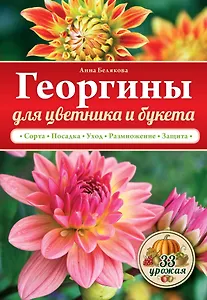 Георгины  для цветника и букета