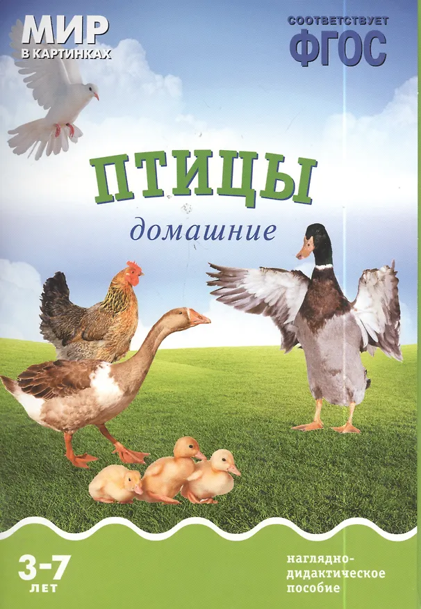 Книга Птицы домашние: наглядно-дидактическое пособие (ФГОС) (Т. Минишева) — 2