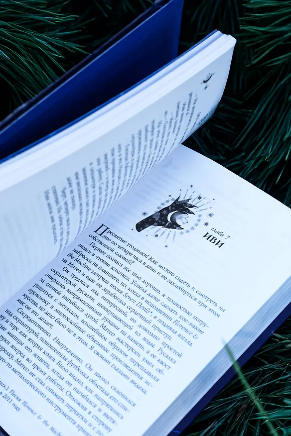 Книга Волк одичал (Джульетта Кросс) — 13