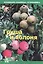 Груша и яблоня (мКалендСадОгор) Бурова — 2598968 — 1