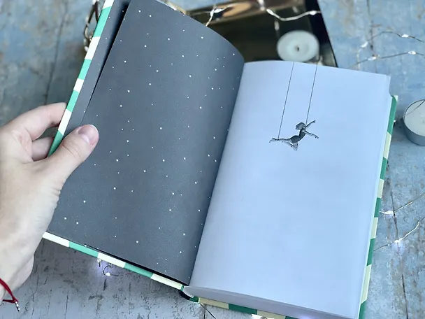 Книга Цирк чудес (Элизабет Макнил) — 8