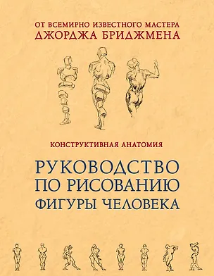 Книга Конструктивная анатомия: руководство по рисованию фигуры человека (Джордж Б. Бриджмен)