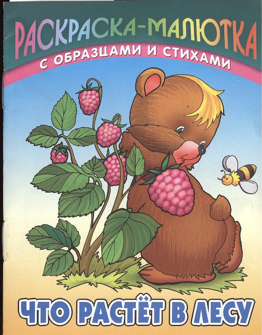 

Что растет в лесу