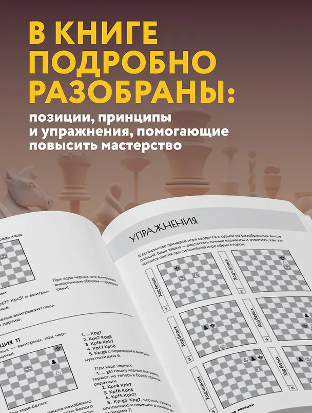 Книга Искусство эндшпиля для начинающих (Дмитрий Луговой) — 6