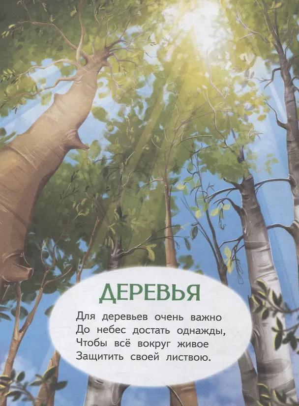 Книга Что растёт в лесу? Стихи для детей (Елена Петухова) — 4