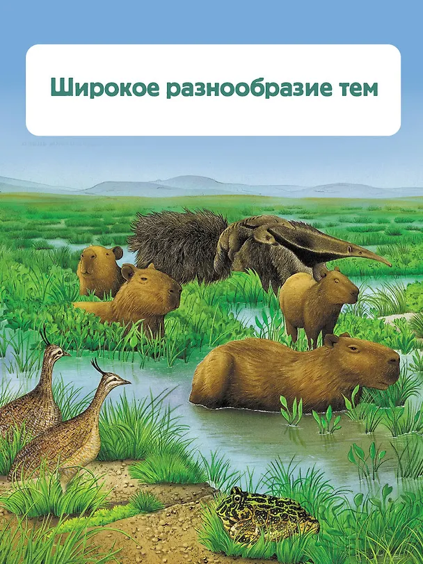 Книга Растения (Энн МакРей, Ричард Смит) — 9