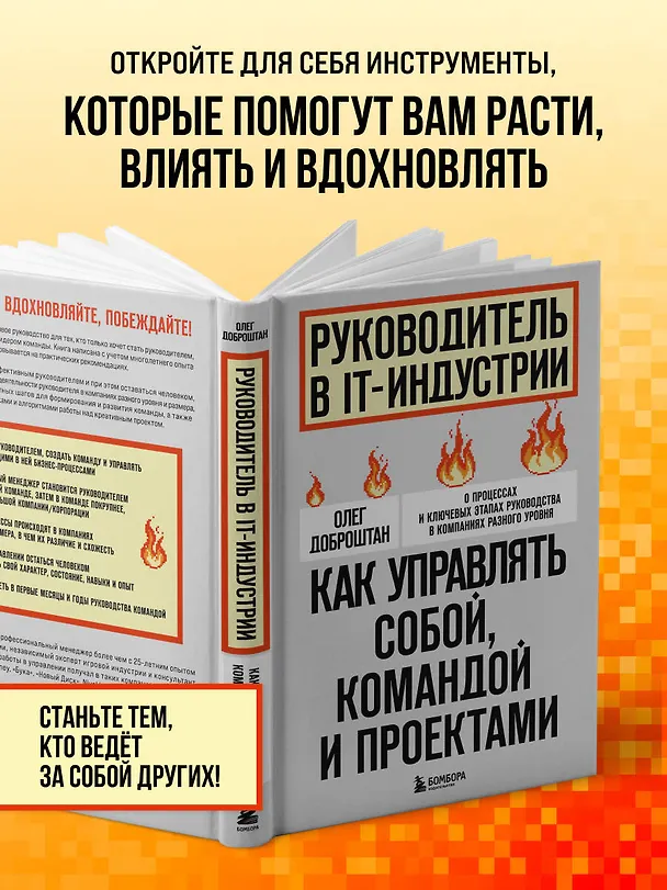 Книга Руководитель в IT-индустрии. Как управлять собой, командой и проектами (Олег Доброштан) — 7